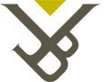 Vrije Universiteit Brussel VUB