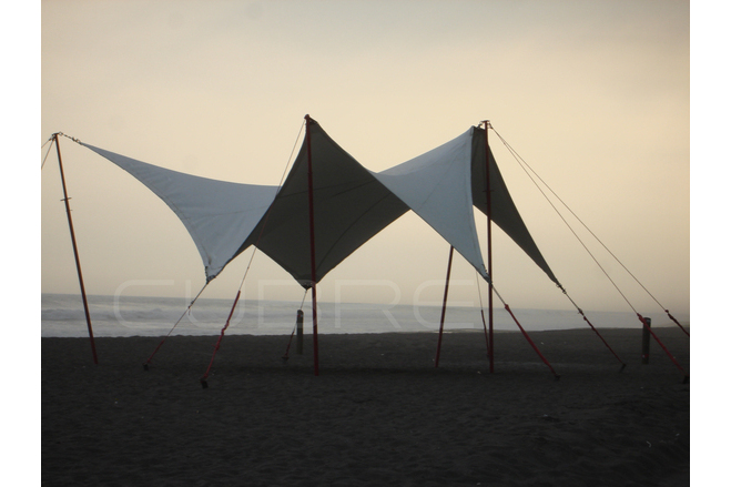 Scorpio at the beach