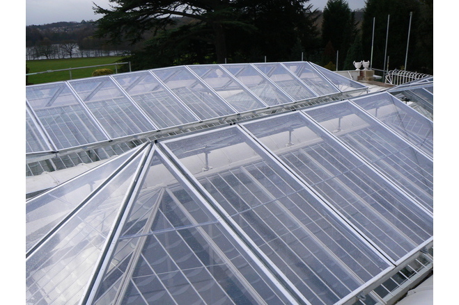 Daylight through the ETFE roof into the restored Camellia House