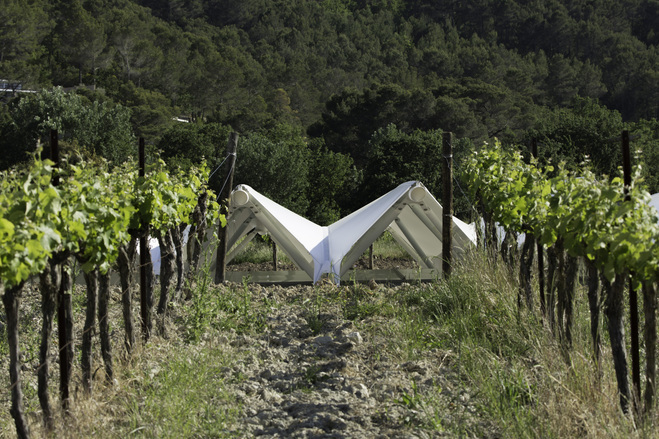 Fabric roof sails aligned with the vine rows at the Château La Coste art pavilion